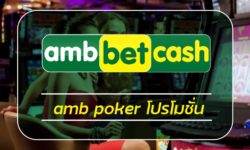 amb poker โปรโมชั่น เครดิตฟรี คืนยอดเสีย รายวัน วิธีการเล่นไพ่โป๊กเกอร์ ผ่านมือถือ ทางเข้า AMBBET สมัคร สล็อตเว็บตรง รวมเกมคาสิโน ค่ายดัง